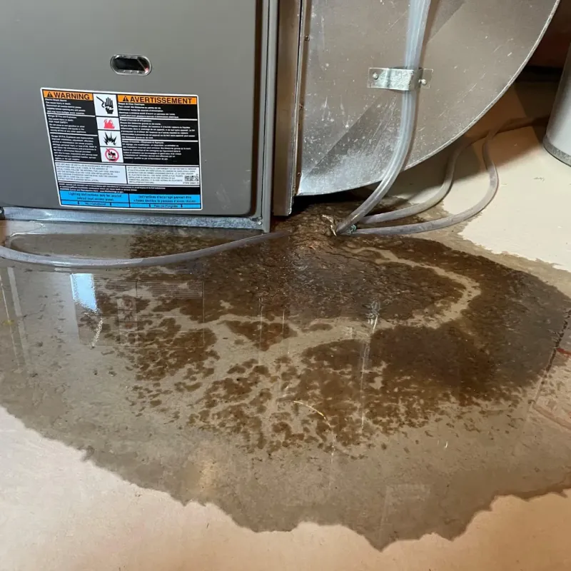 Appliance Leak Cleanup in Mechanicsburg, OH