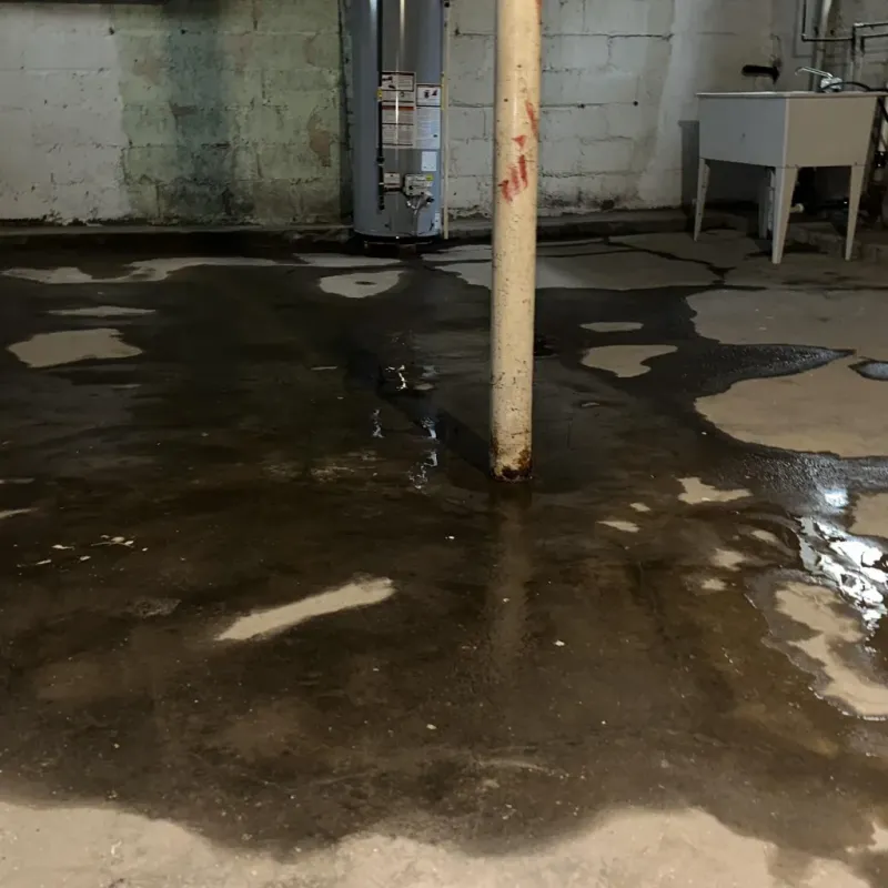 Emergency Water Extraction And Removal in Mechanicsburg, OH